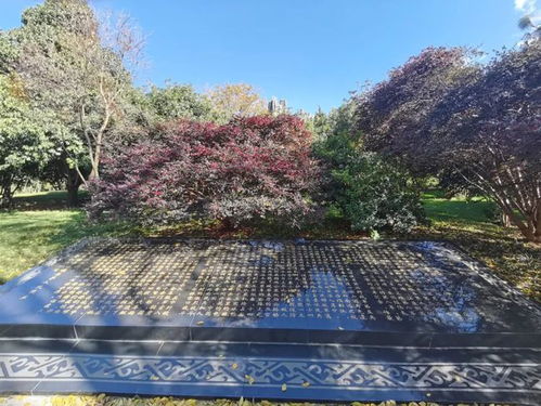 打卡石林精品紅色旅游路線,帶你重溫崢嶸歲月