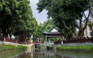 品一番 古梅鄉(xiāng)韻 ,感受現(xiàn)代化的田園詩(shī)意