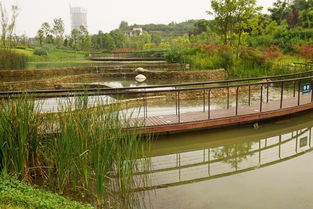 天府新區(qū)的鹿溪河生態(tài)園