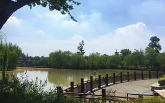 木頭的前世今生丨探訪世友地板生產基地