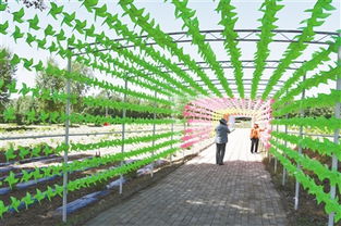 九龍潭生態園 綠水青山間的振興之路，讓貧困戶成為旅游產業的最大受益者