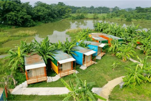 新春采摘，田園趣游 金穗與九龍潭生態園兩日樂活指南